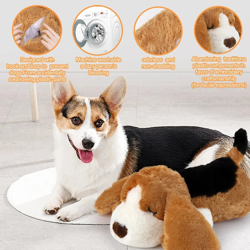 https://cdn.dropmagic.ai/medias/603ffa87-adbc-4957-9164-c2c26251859e.webp